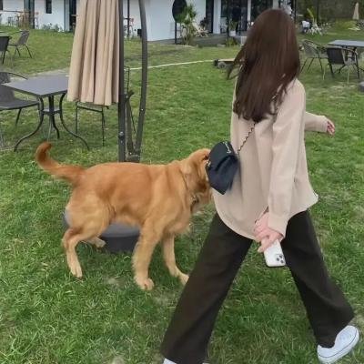 魔女风采依旧